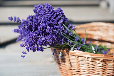 Wicket cane basket with a bouquet of purple Lavenderの写真素材