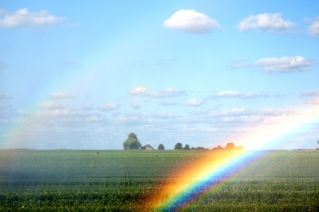 Rainbow by watering the agriculture fields with vegetables の写真素材