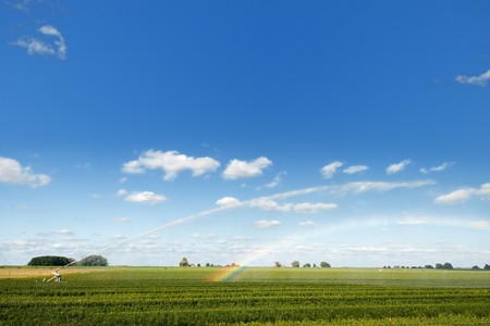 Rainbow by watering the agriculture fields with vegetables の写真素材