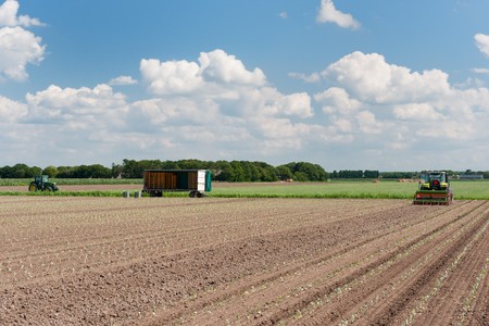 Tractor in the vegetable fields with horizonの写真素材