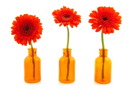 Orange Gerber flowers in little glass vasesの写真素材