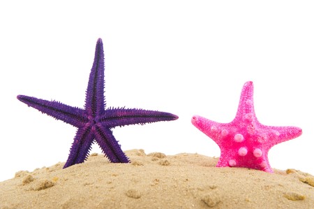 Beach with sand and colorful starfishes isolated over white