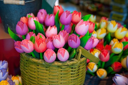 Colorful Dutch wooden tulips as souvenir from Hollandの写真素材