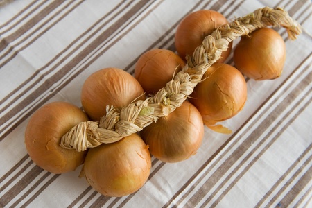 Cord with onions in rural still lifeの写真素材