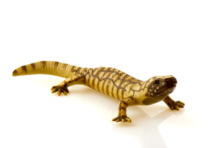 Toy reptile animal isolated over white backgroundの写真素材