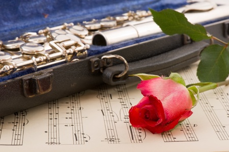 Black case with silver flute in blue velvetの写真素材