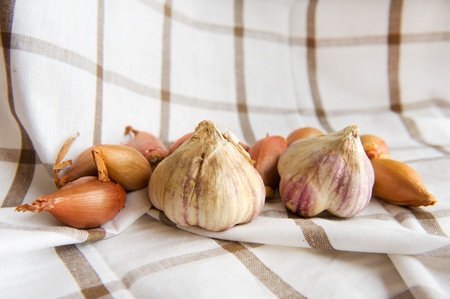 Garlic and onions in rural still lifeの写真素材