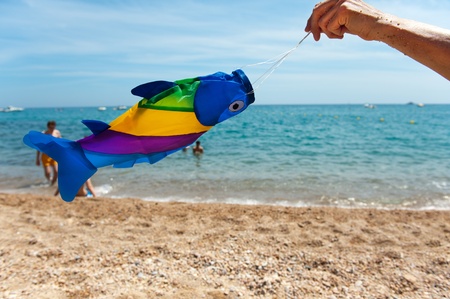 Playing with wind fish at the beachの写真素材