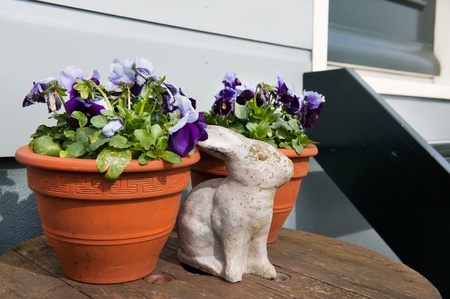 still life with pansy flowers and stone ornament in the gardenの写真素材