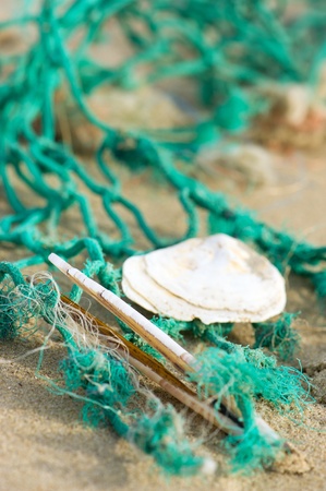 Shells in green fishing net at the beachの写真素材