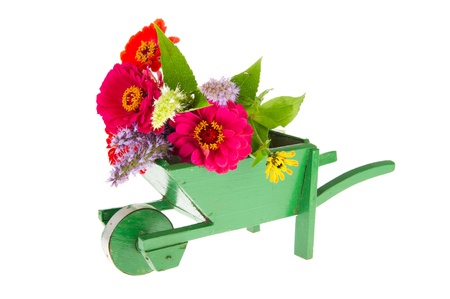 Green wheel barrow with garden flowers isolated over white backgroundの写真素材