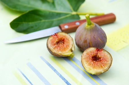 Still life outdoor in the sun with figsの写真素材