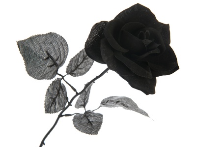 Artificial black rose for halloween holidaysの写真素材