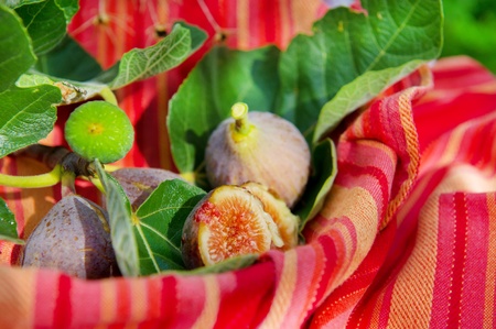 Still life outdoor in the sun with figs