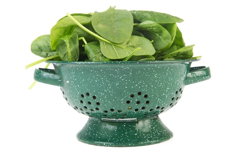 Fresh spinach in green colander isolated over white backgroundの写真素材