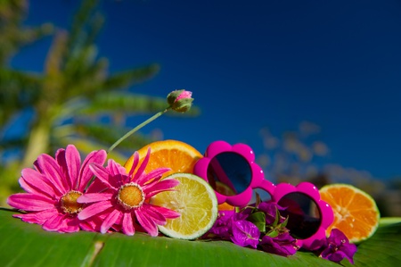 Tropical summer woth sunglasses, banana trees fruit and flowersの写真素材