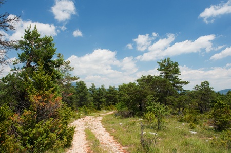 nature landscape with path in summer Haute Provence in France