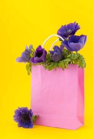 Bouquet blue Anemones in pink paper bagの写真素材