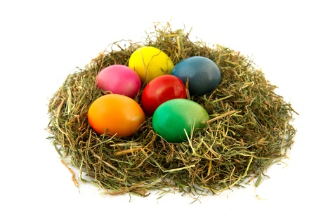 colorful straw nest easter eggs isolated over white background