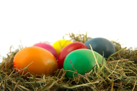 colorful straw nest easter eggs isolated over white background