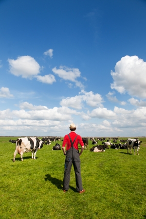 Typical Dutch landscape with farmer and black and white cows in the meadowsの写真素材