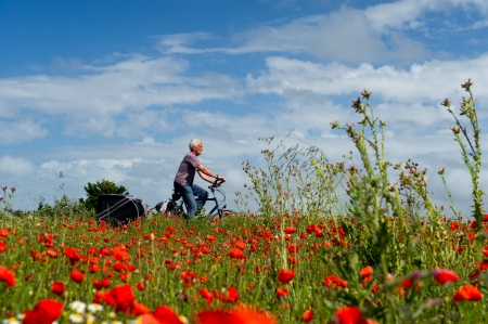 Elderly man on the bike behind flower fieldsの写真素材