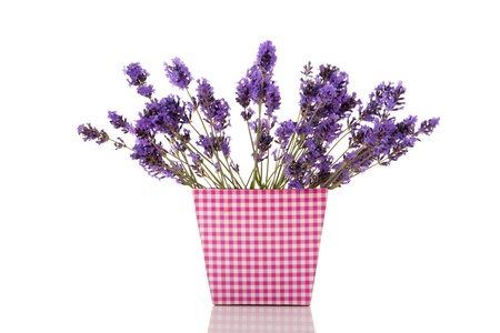 Bouquet Lavender in pink checked vaseの写真素材