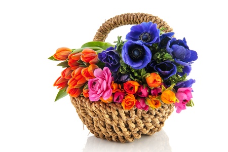 Basket full with tulips anemones and butter cupsの写真素材
