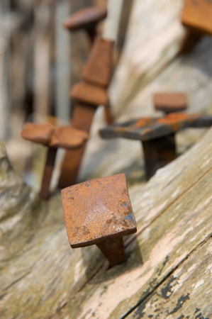 Old rusty nails in te woodの写真素材
