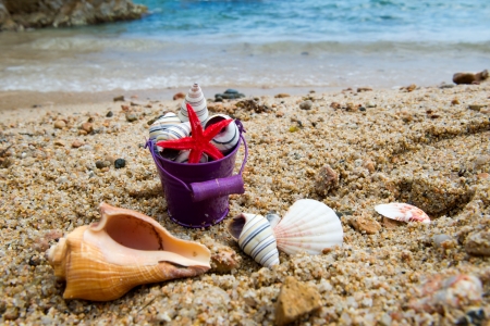 Plastic orange shells at the beachの写真素材