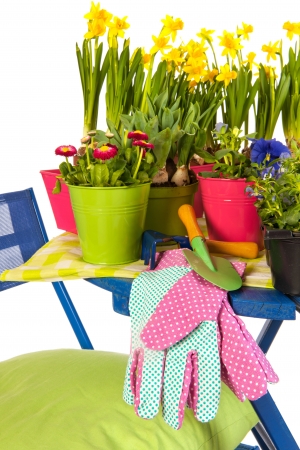 Gardening in spring with flowers and equipmentの写真素材