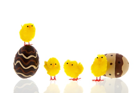 chocolate eggs with easter chicks isolated over white background
