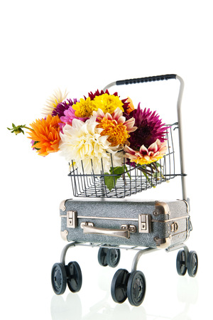 Bouquet Dahlias and vintage suitcase on trolley isolated over white backgroundの写真素材