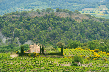 Landscape with vineyards in Franceのeditorial素材