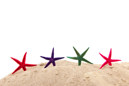 Colorful starfishes at the beach and white backgroundの写真素材