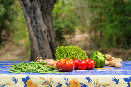 Vegetables in the French garden under the olive treeの写真素材