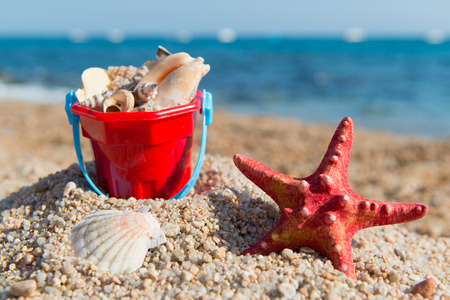 Shells in red plastic bucket at the beachの写真素材