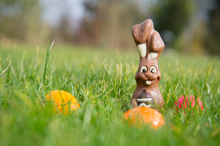 Chocolate easter hare with colorful eggs outdoor in grass