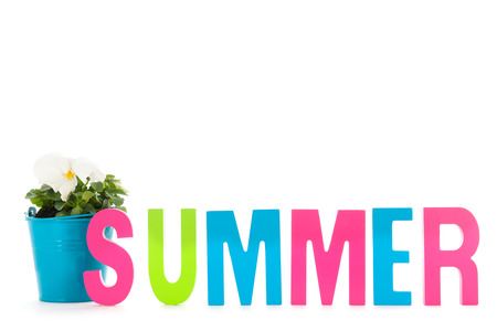 Summer with Pansy plant and text isolated over white backgroundの写真素材