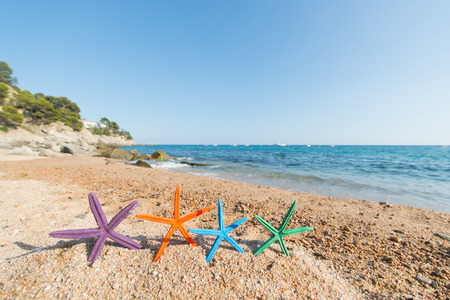 Standing row colorful starfish at the beachの写真素材