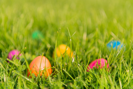 Colorful painted easter eggs hide in the garden