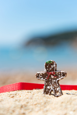 Christmas chocolate ginger bread man standing at summer beachの写真素材