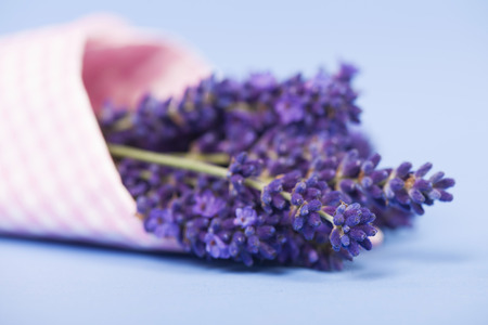 Bouquet French Lavender flowers wrapped in pinkの写真素材