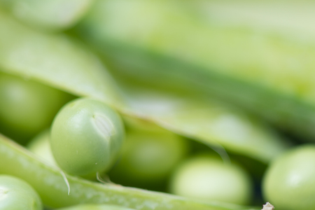 open green peas in macroの写真素材