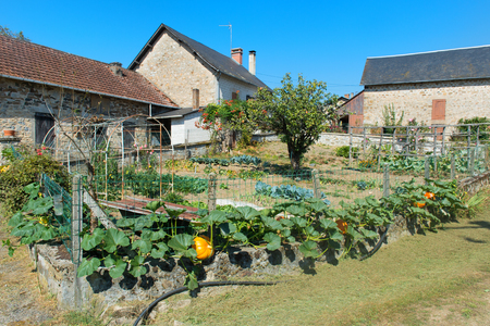 Vegetable garden in French village in the Limousinの写真素材