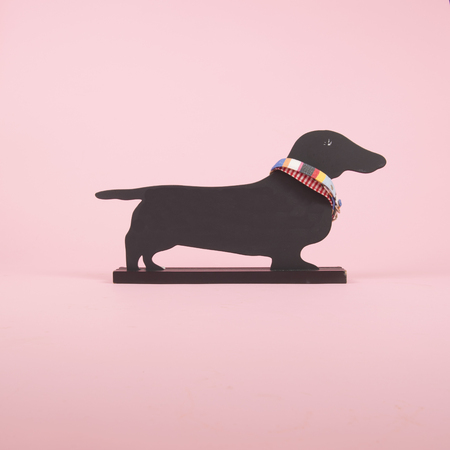 Dachshund dog blackboard on pinkの写真素材