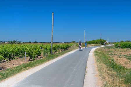 ILE DE RE, FRANCE - JUNE 25 2018: Bicycles on the island Ile the RÃ© on june 25 2018のeditorial素材