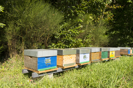Colorful wooden Beehives near the borderの写真素材