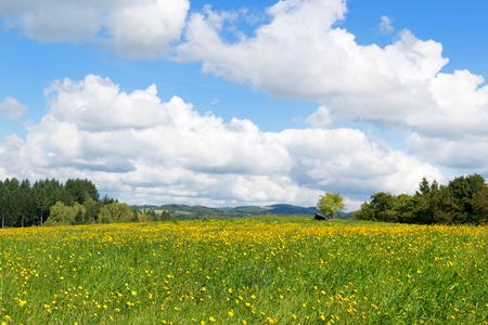 Typical rural landscape in French Limousinの写真素材