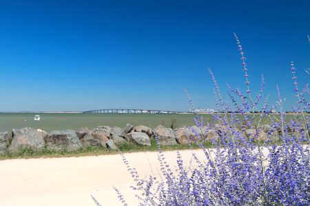Bridge to mainland island Ile the Reの写真素材